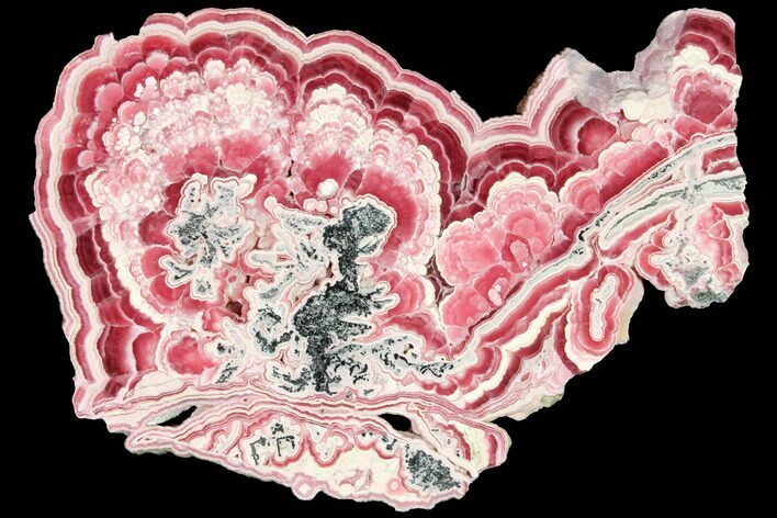 Polished Rhodochrosite Stalactite Slab - Top Quality! #114255